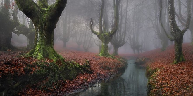 Otzarreta Forest, Basque Country, Spain